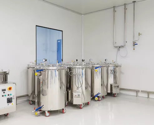 * Saponification workshop *