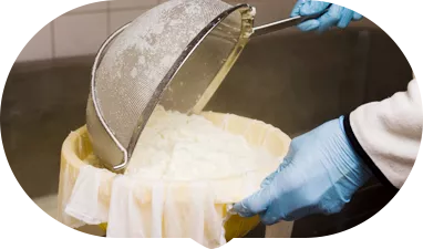 Salt precipitation and washing